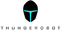 Сервисный центр Thunderobot в Воронеже